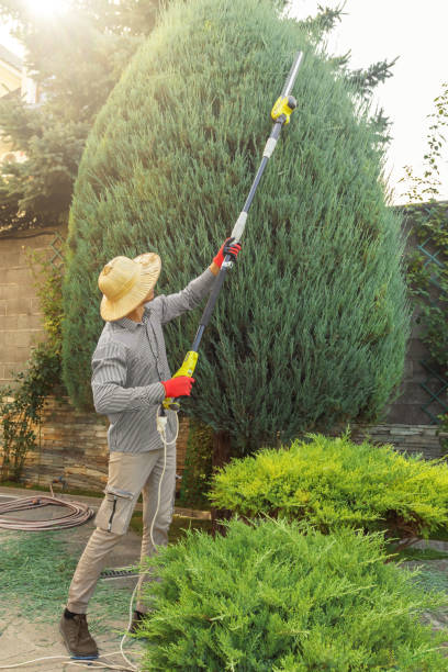 Best Tree Risk Assessment  in Eton, GA